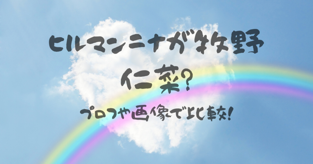 プロジェクト 放送 虹